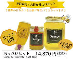 おっきいセット