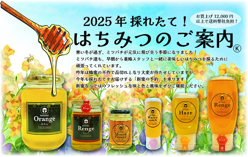 【ご予約受付中】2025年採れたて！フレッシュな新蜜